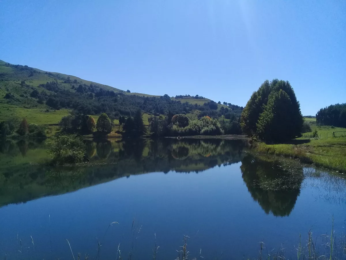 A tranquil lake in front of a grassy hill