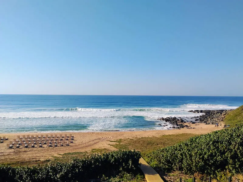 A landscape view of a beach and ocean. There are empty deckchairs set out our in uniform rows on the beach.