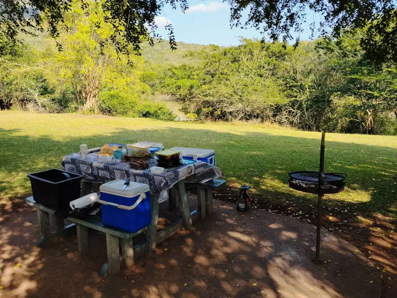 A picnic table is laden with salads and picnic bowls plates and table cloth. The picnic table is under the shade of a tree in the Hluhluwe Imfolozi Game Reserve