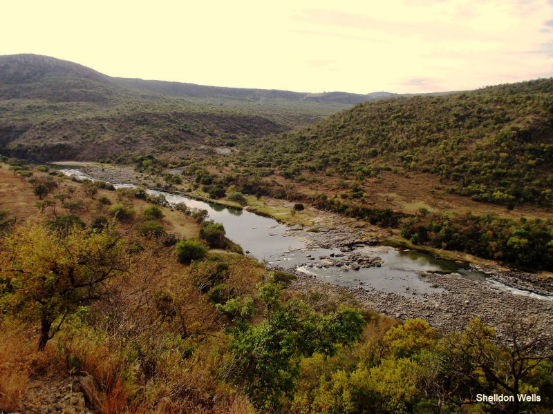 A river cuts through the base of two hills divided by a smaller tributory of the Buffalo or Mzinyathi River. The hills are covered in natural bush of Natal